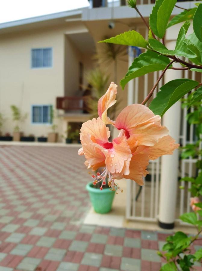 Amalia Apartments Paramaribo Exteriör bild